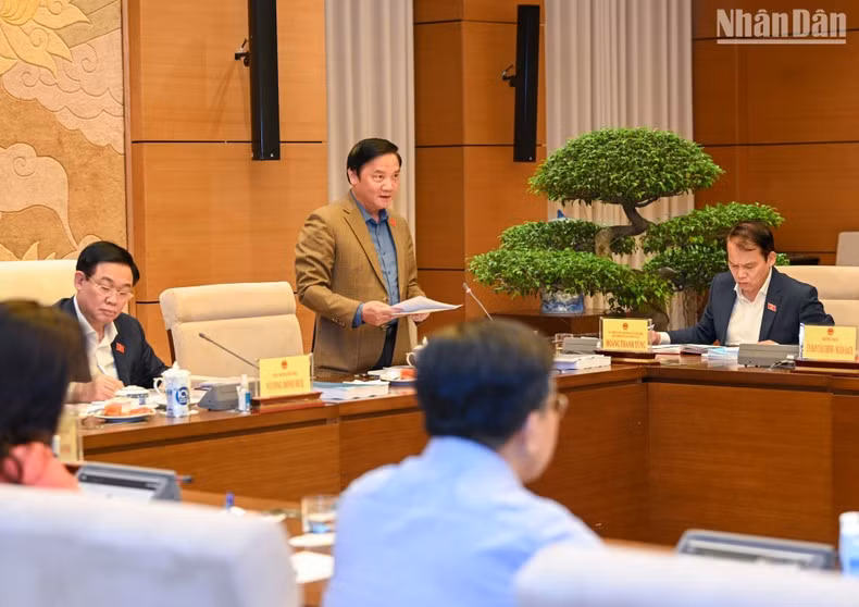 国会副主席阮克定发表讲话。