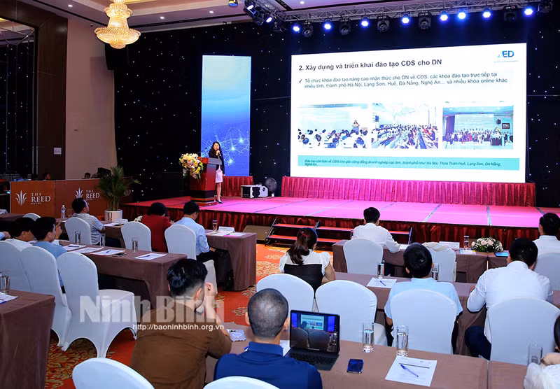 宁平省推动中小型企业数字化转型。