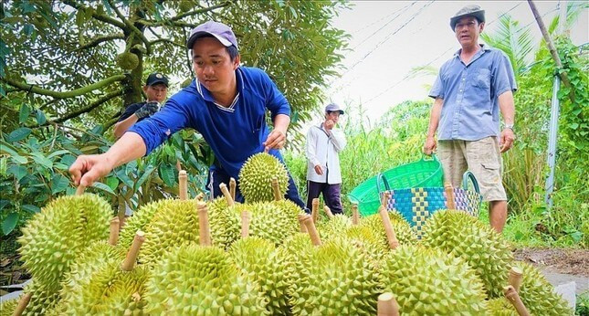 附图。
