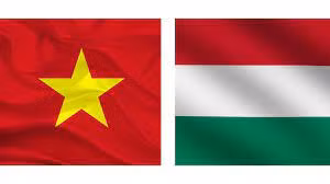 越南-匈牙利全面伙伴关系【图表新闻】