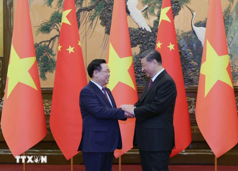 越南国会主席王廷惠会见中共中央总书记、中国国家主席习近平。