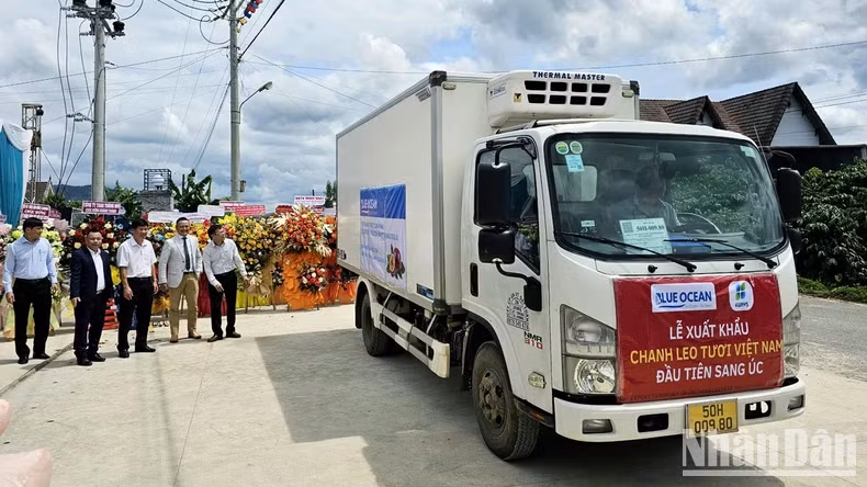 蓝海JSC正式向澳大利亚市场出口百香果。