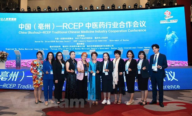与会代表。（图片来源：越通社）