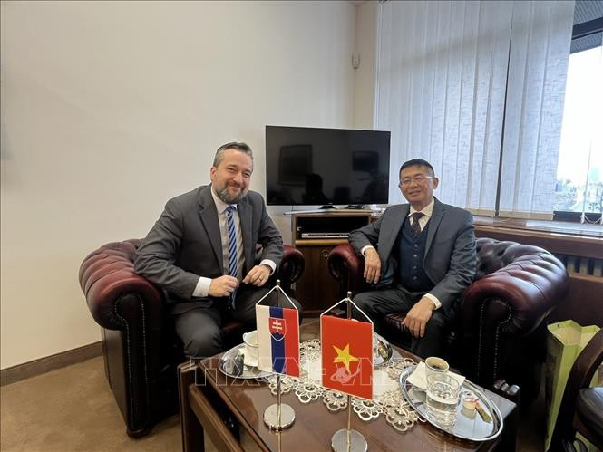 卢博斯·布拉哈副议长会见阮俊大使。（图片来源：越通社）