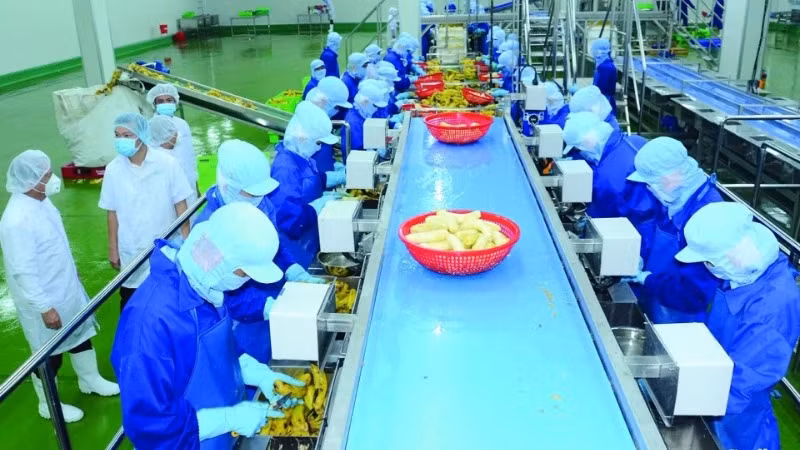 附图：Thabico食品工业股份公司的农产品加工厂。