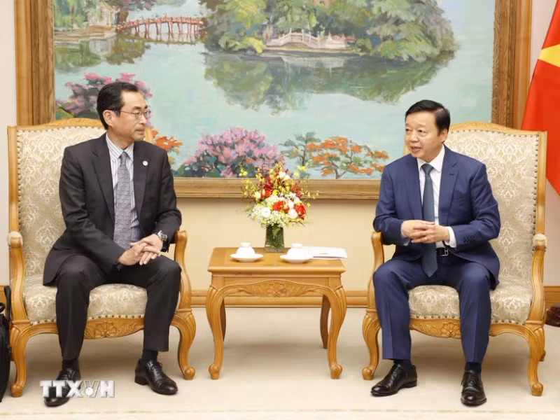 越南政府副总理陈红河会见了日本国际协力银行国家执行董事谷本正幸。（图片来源：越通社）