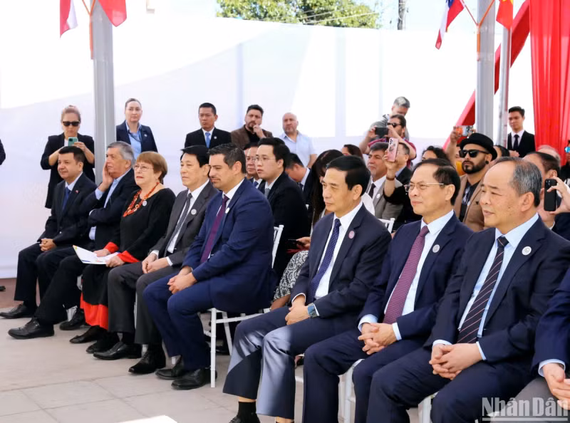 各位代表参加活动。