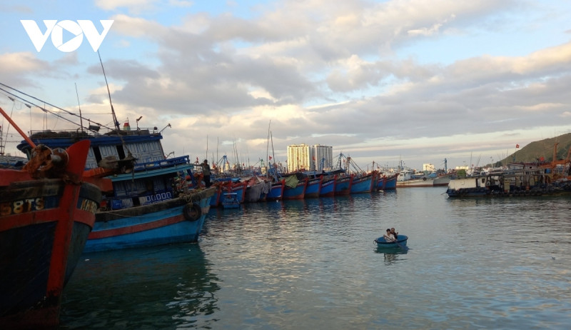 芽庄市渔船准备出海。