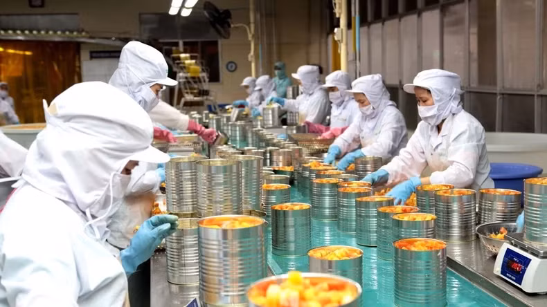 企业需要加强加工，确保出口产品的质量。