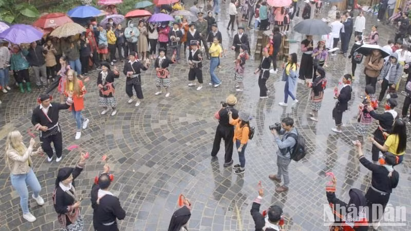 各国小姐在山罗省的体验活动。