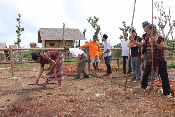 遮罗族人传统的水稻修剪方式。（图片来源：越南各民族文化旅游村）