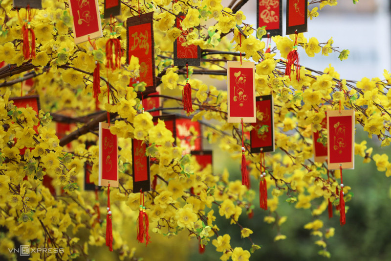 黄色的梅花。
