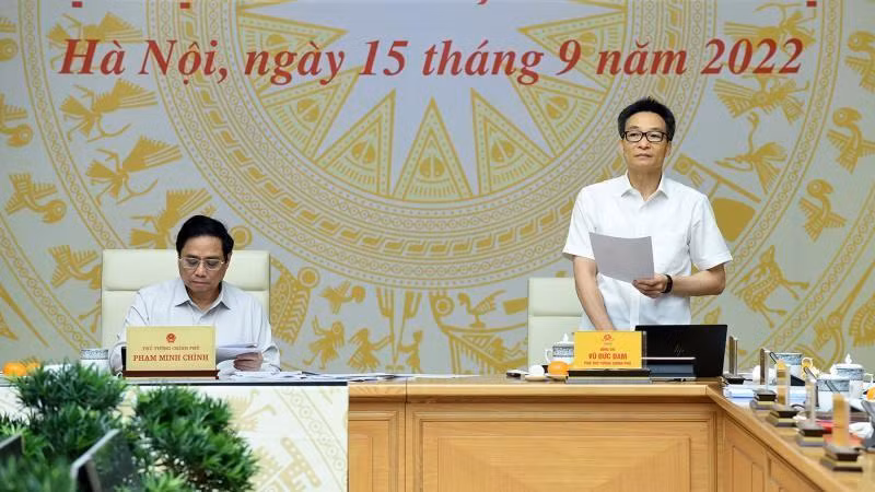 越南政府副总理武德儋在会议上发言。