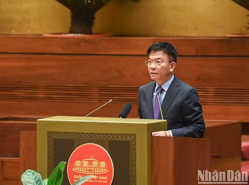 越南政府副总理兼司法部部长黎成龙澄清了一些相关问题。