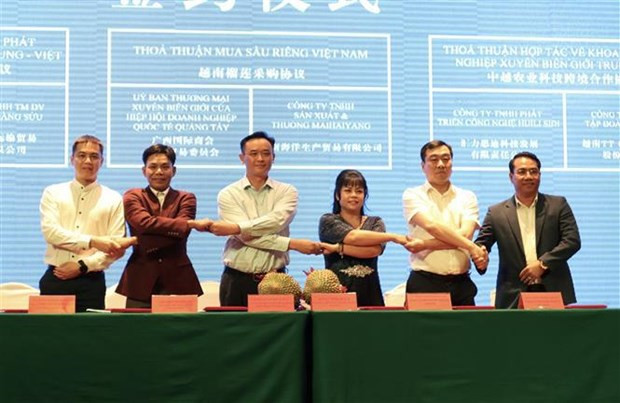 与会代表。（图片来源：越通社）