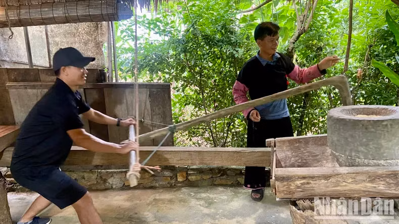 游客在乡村体验有趣活动。 游客在乡村体验有趣活动。