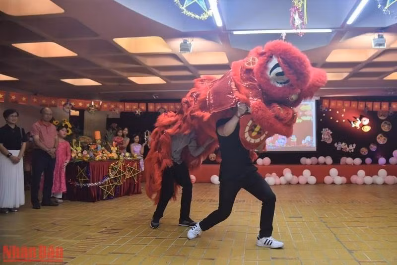 舞狮表演节目。