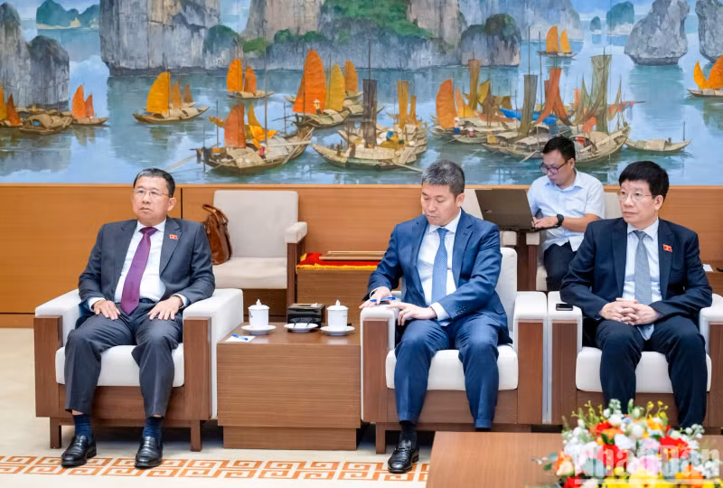 越南代表团。