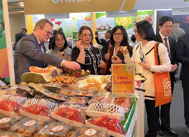 越南展位吸引众多国际友人的关注。（图片来源：越通社）