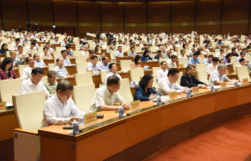 与会代表。