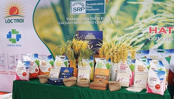 越南天赐大米集团的产品。