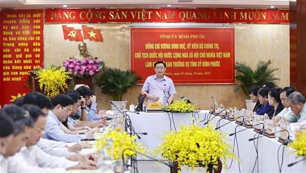 国会主席王廷惠在会上发言。（图片来源：越通社）