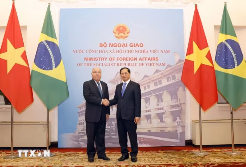 越南外交部长裴青山与巴西外长毛罗·维埃拉。