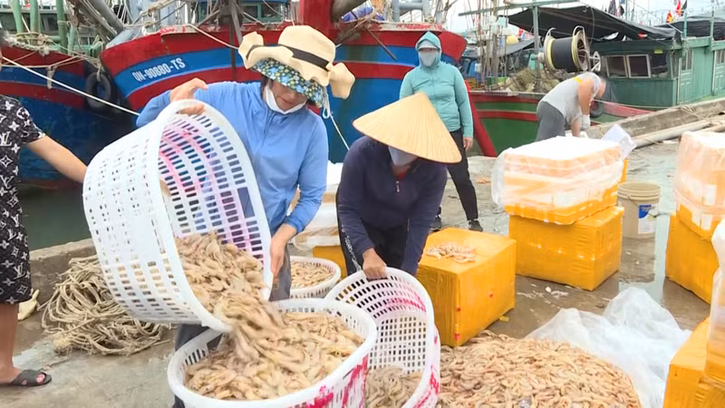 海河县渔民出售所捕捞的水产品。（图片来源：广宁报）