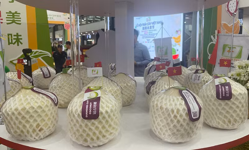 越南新鲜荔枝参加在中国举行的展览会。