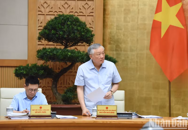 政府常务副总理阮和平在会上发表讲话。