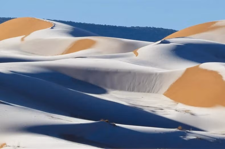 1月13日，在阿尔及利亚小镇艾因塞夫拉附近的撒哈拉沙漠被白雪覆盖。（图片来源：Bav Media）