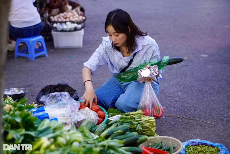 附图。（图片来源：民智报）