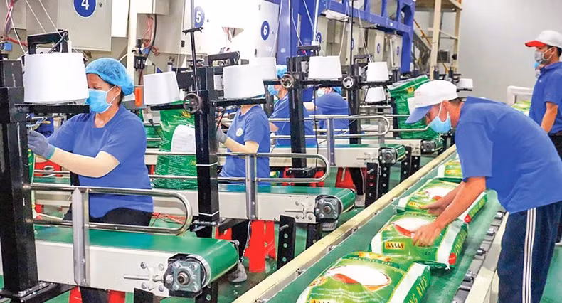 芹苴市中安高科技股份公司对欧盟市场出口的大米包装。（南方 摄）