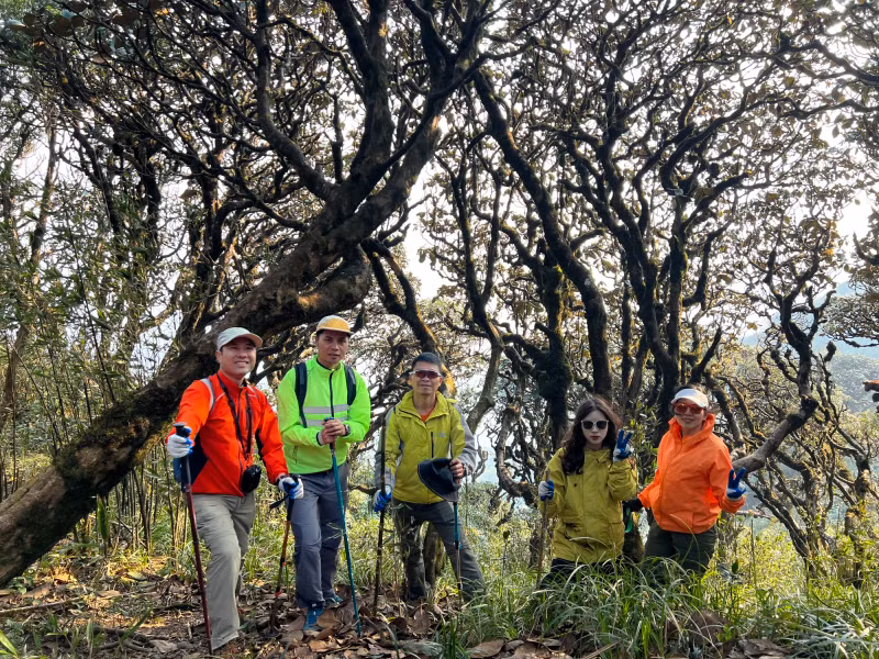 普塔岭峰海拔3049米，是继番西邦峰、PusiLung峰之后的越南三座最高山峰之一，这里有一条美丽的赏杜鹃花徒步线路。