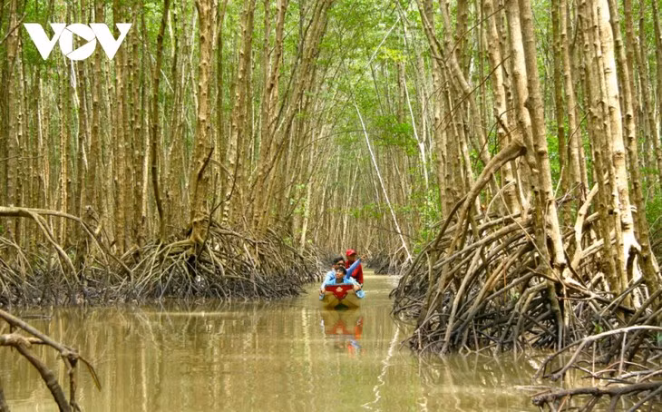 金瓯省依托森林实现可持续发展。