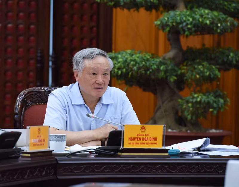 越南政府常务副总理阮和平在会上发表讲话。