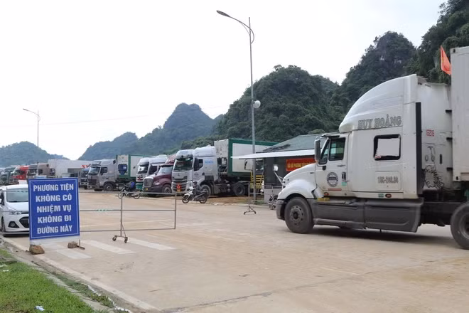 谅山省边防加强打击边境口岸走私违法犯罪。（图片来源：越通社）