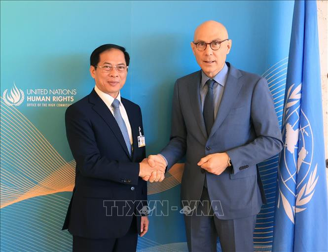 越南外交部长裴青山与联合国人权事务高级专员沃尔克·图尔克。（图片来源：越通社）