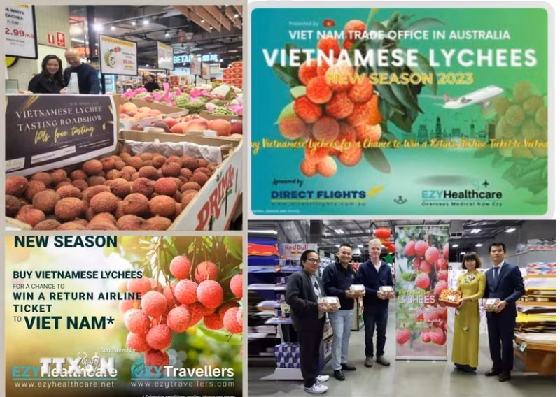 越南荔枝在澳大利亚连锁超市被抢购一空。