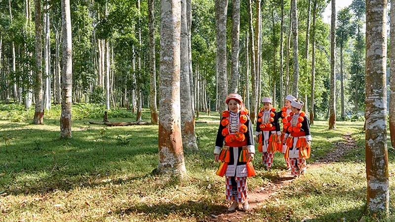 森林生态旅游吸引诸多游客来到宣光省。
