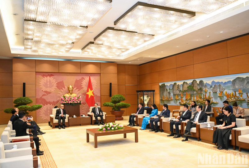 越南国会主席陈青敏会见摩洛哥众议院秘书长纳吉布·哈迪。