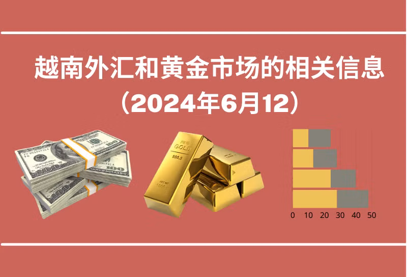 越南外汇和黄金市场的相关信息【图表新闻】