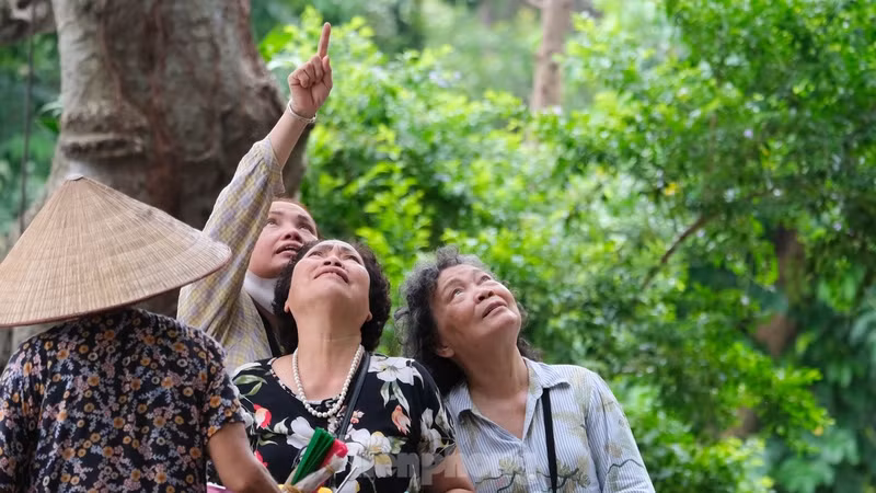 许多民众对该景象特别好奇。（图片来源：前锋报）