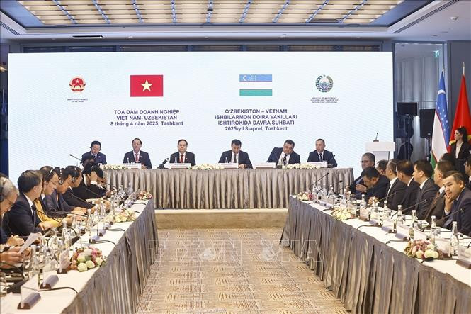 越南国会主席陈青敏出席越乌企业座谈会。（图片来源：越通社）