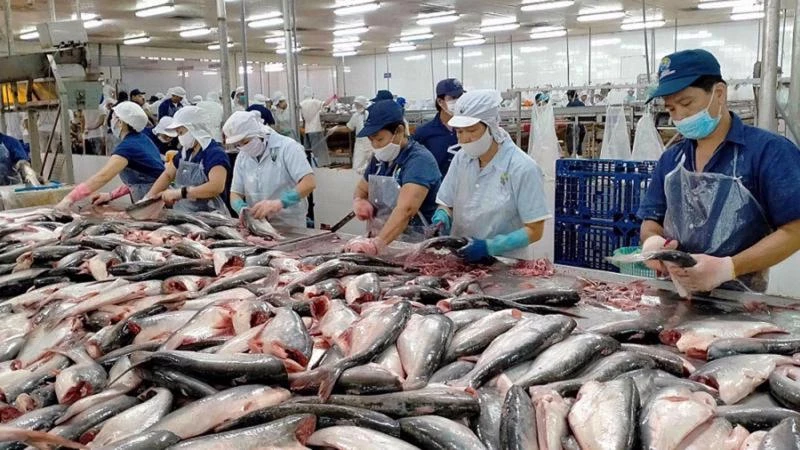 附图：越南水产品出口有所增加。