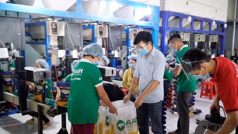 2025年，由于全球供应量增加，越南大米出口面临许多挑战。