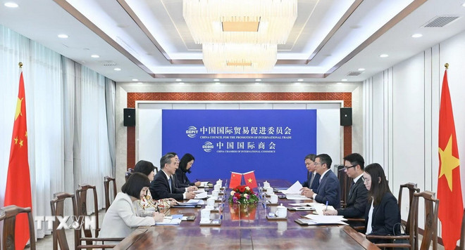 越南驻中国大使范青平与中国国际贸易促进委员会会长任鸿斌举行会谈。（图片来源：越通社）