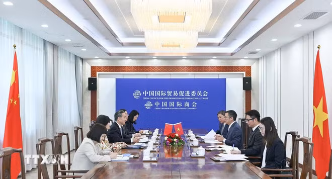 越南驻中国大使范青平与中国国际贸易促进委员会会长任鸿斌举行会谈。（图片来源：越通社）