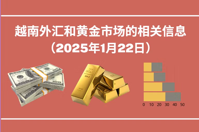 越南外汇和黄金市场的相关信息【图表新闻】