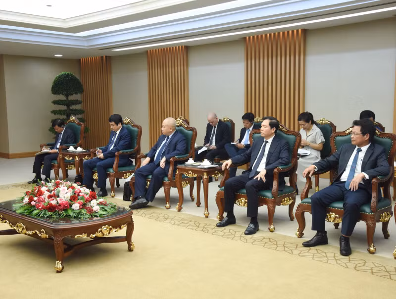 越南政府各部委、行业、企业代表出席会见。